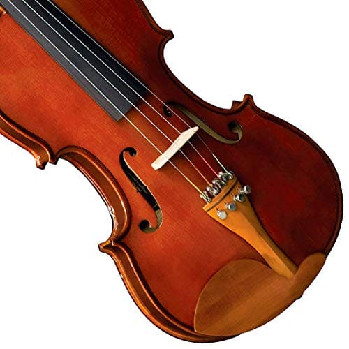 Violino Eagle VE441 detalhes do tampo e cordas